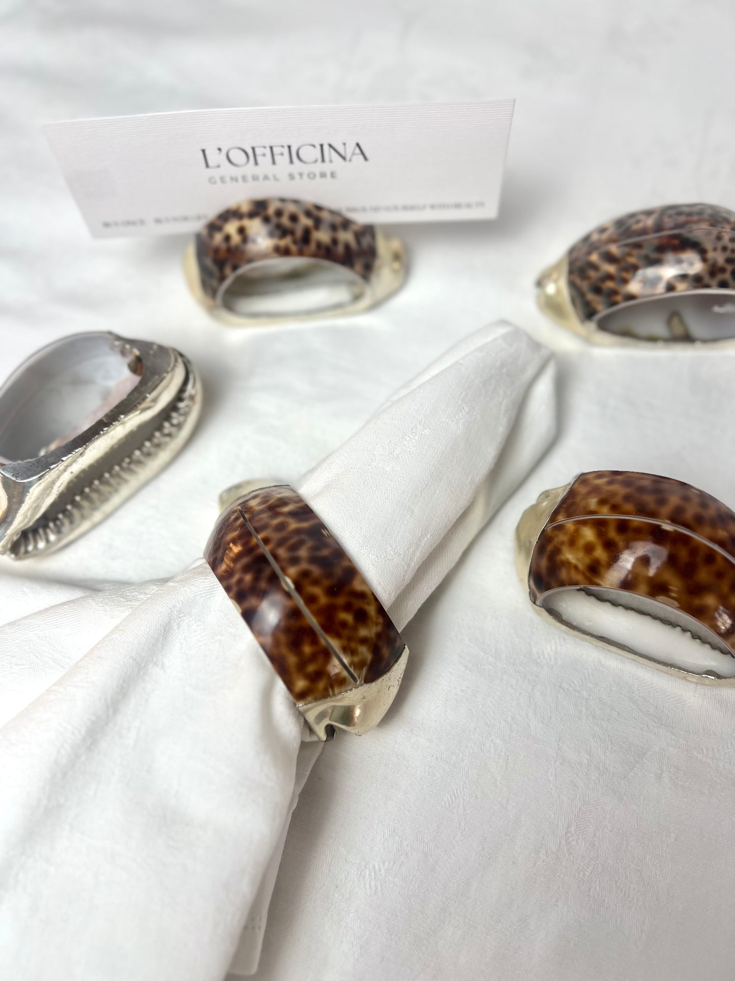 Set di 2 I Anelli per tovaglioli e segna posto Tiger Shell I Tiger Cowrie con bordo in argento Italiano