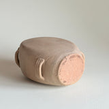 19th century Tuscan Terracotta Jug
