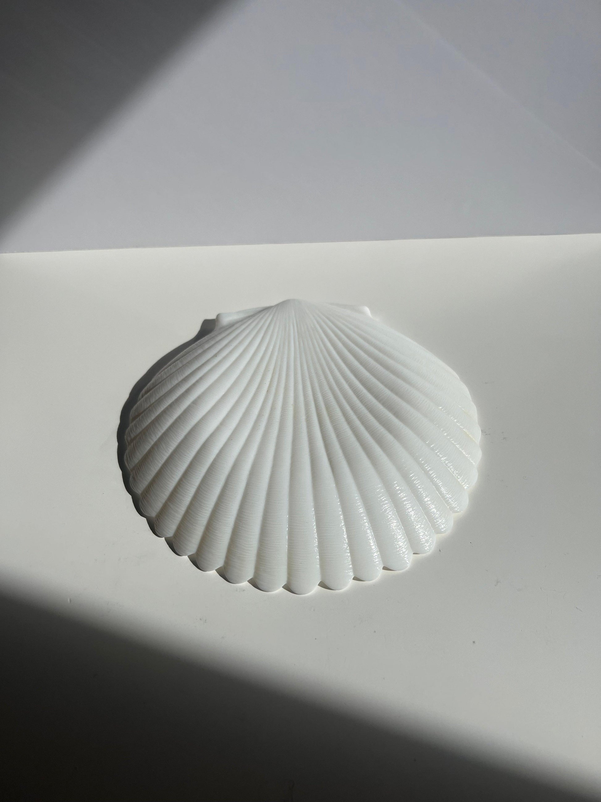 Shell Opaline plate - L'Officina General Store 