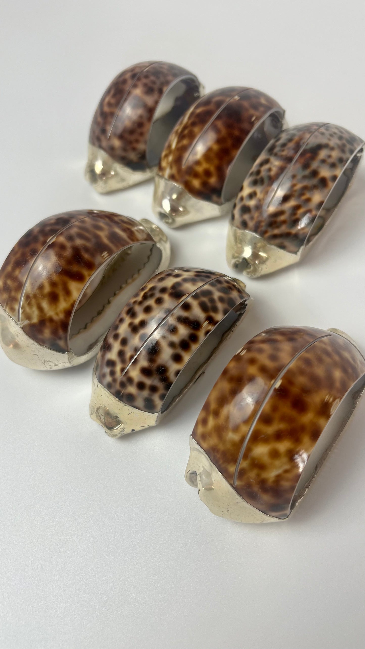 Set di 2 I Anelli per tovaglioli e segna posto Tiger Shell I Tiger Cowrie con bordo in argento Italiano