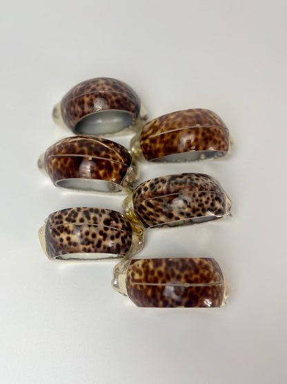 Set di 2 I Anelli per tovaglioli e segna posto Tiger Shell I Tiger Cowrie con bordo in argento Italiano