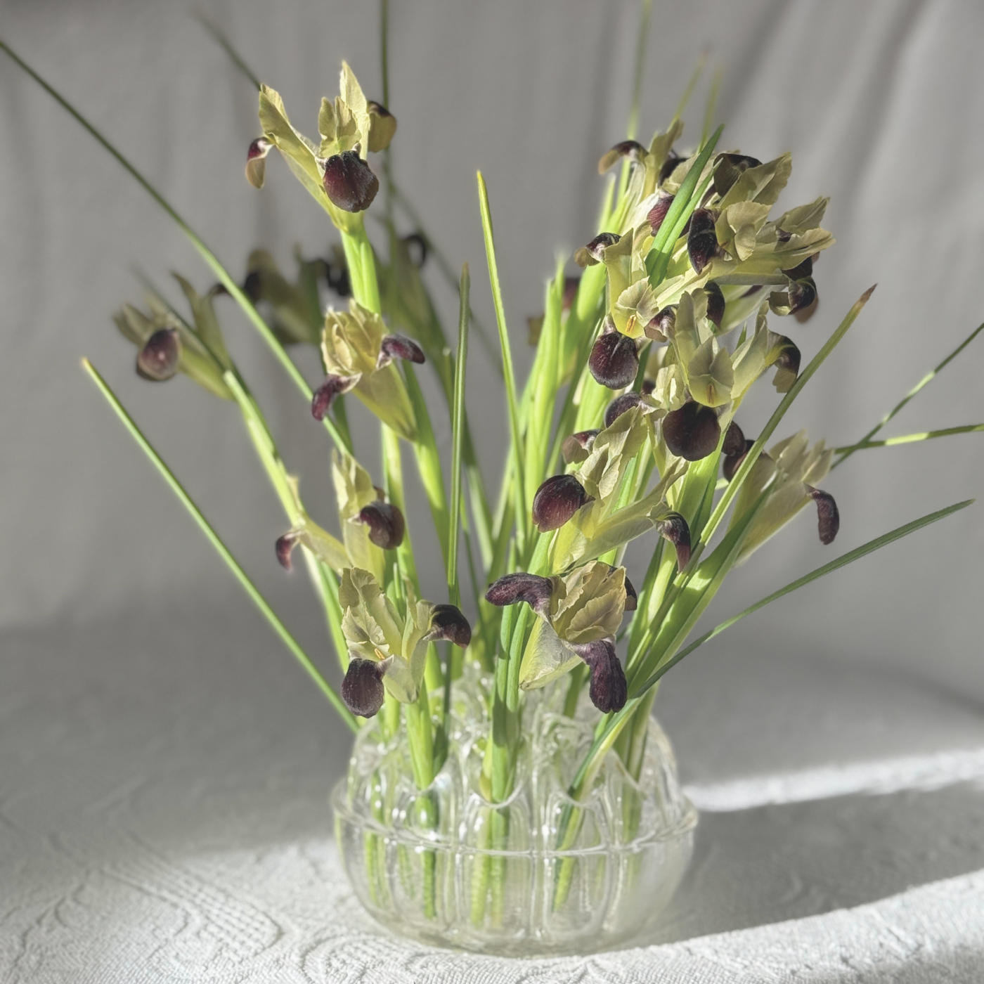 Flower-frog-France-Reims-Vase-Glass-bud-vase