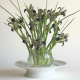 Glass Flower Frog Vase in clear pressed glass, with a rounded bubble-textured body holding slender green stems and dark blooms.