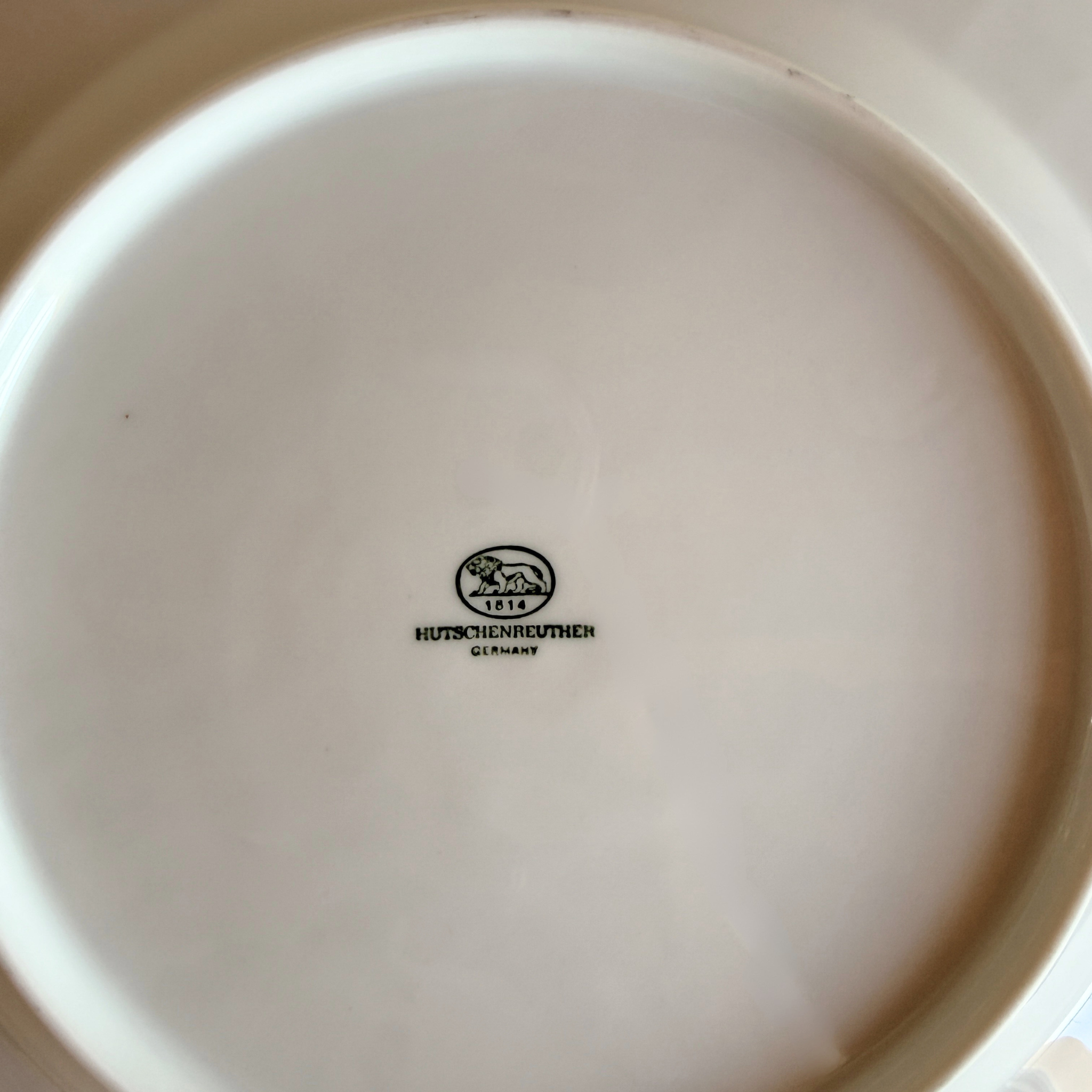 Hutschenreuther Lucina dinner plate 25.2 cm (9 15/16 in) back view