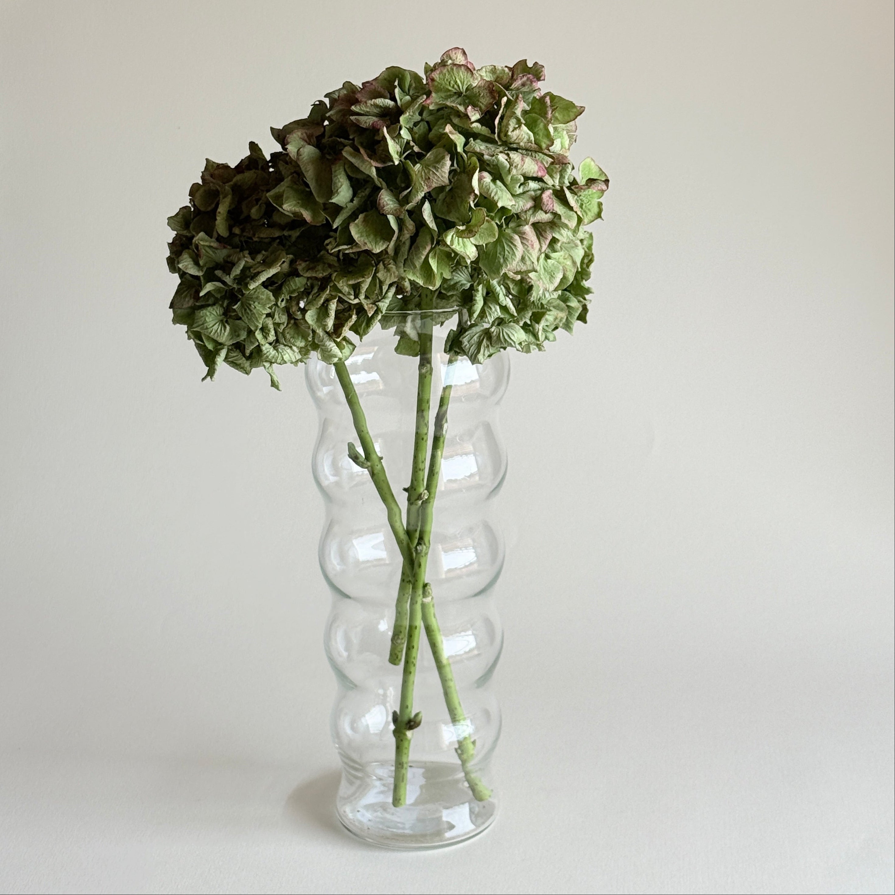 Clear rippled glass vase from L'Officina, tall flared form with vertical ribbing, 30 cm, 1 kg