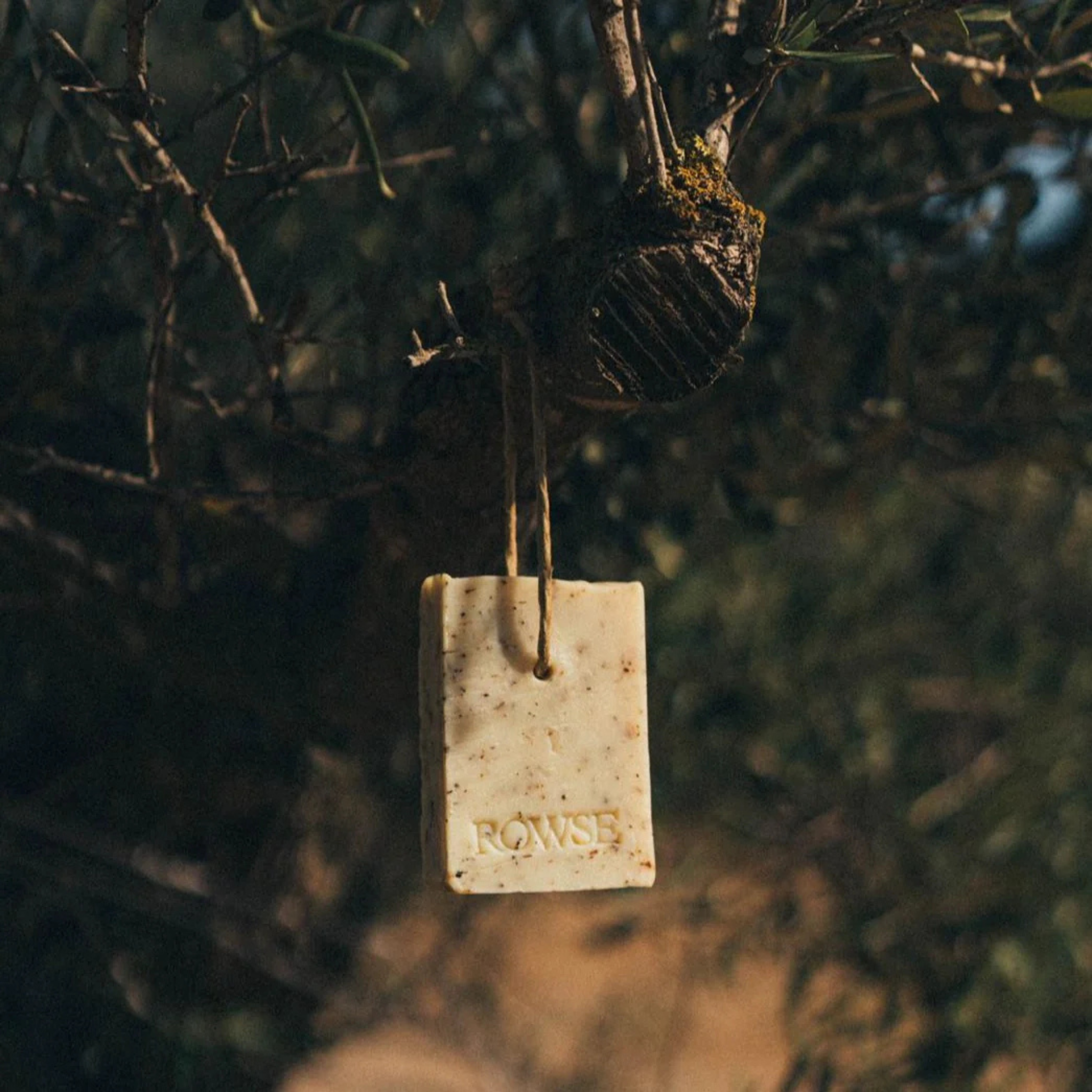 ROWSE Oliveta Botanical Soap (Rosemary and Lemon) - l'Officina General Store