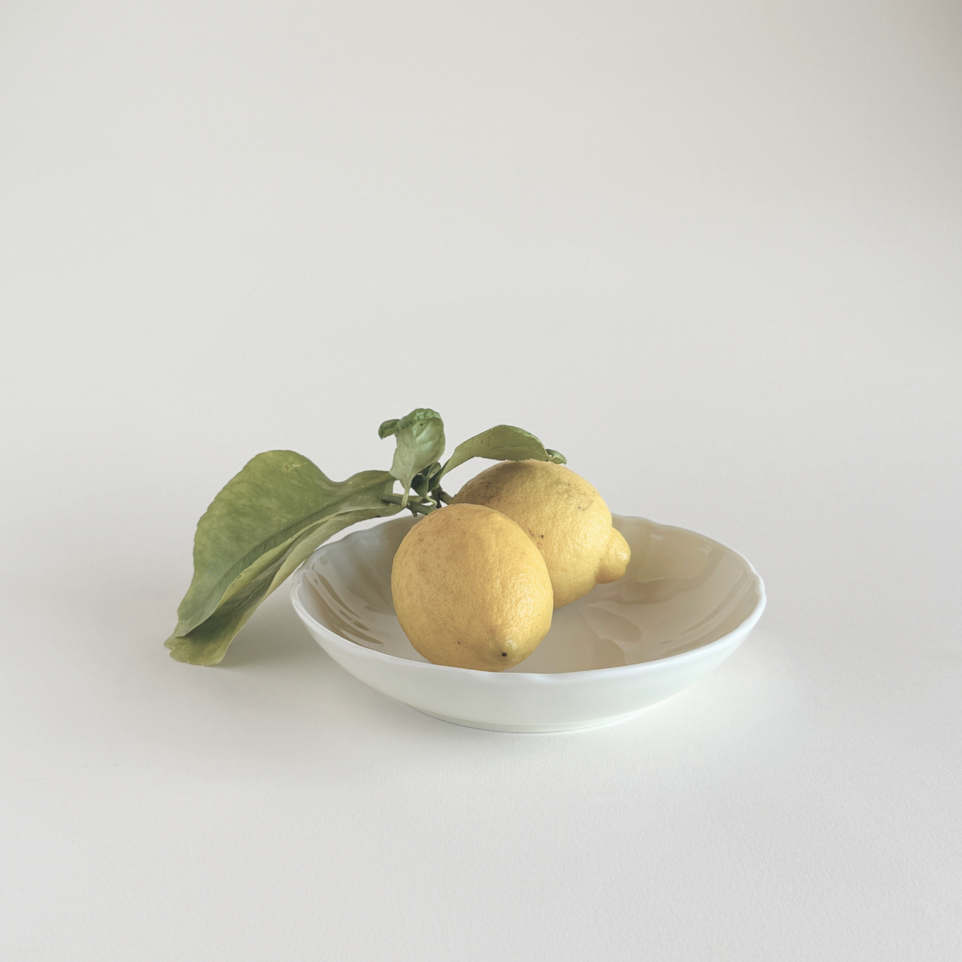 Schönwald ecru porcelain bowl - 18 cm I Set of 2