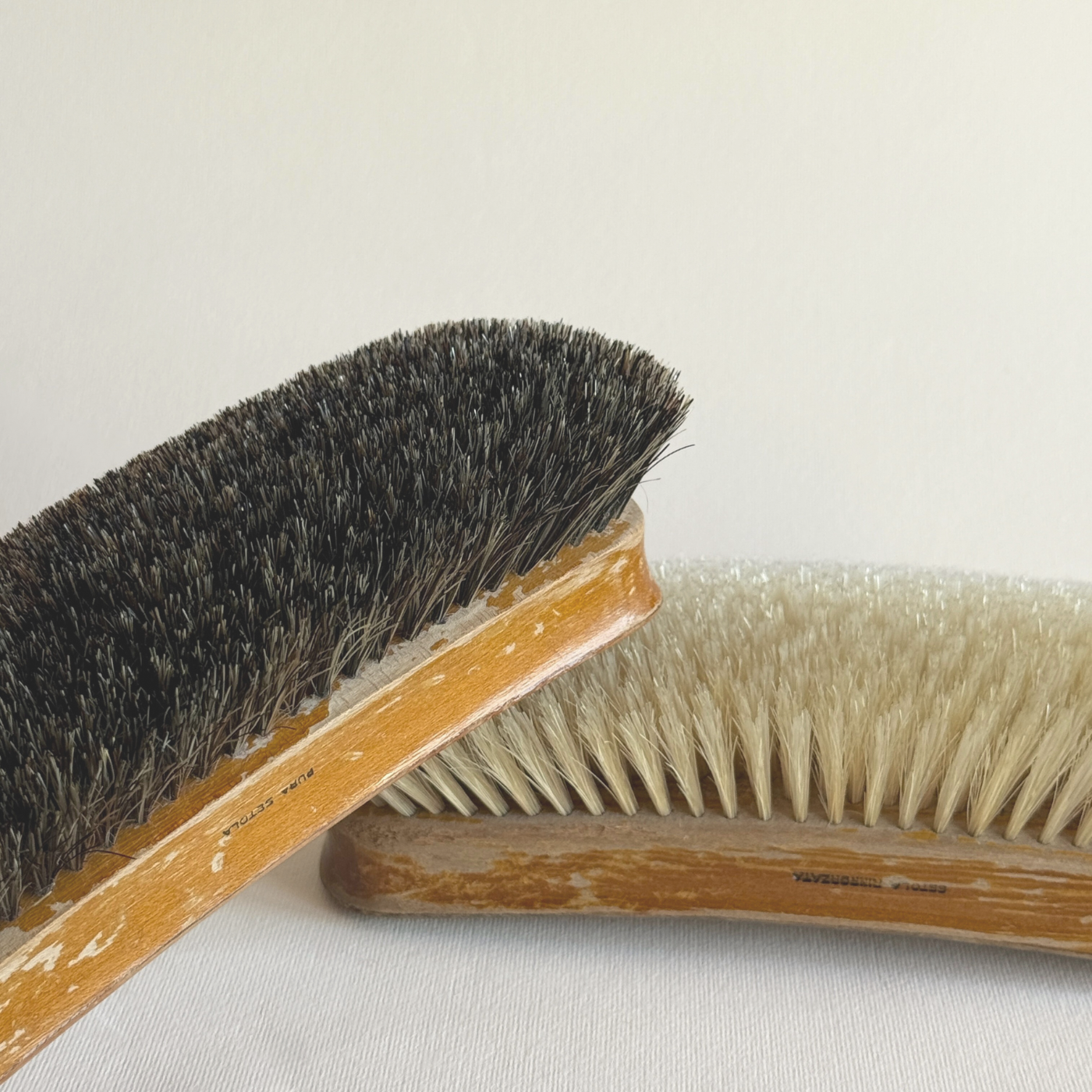 Ergonomic Venus cleaning brushes for shoes, carpet, sofa, and clothing