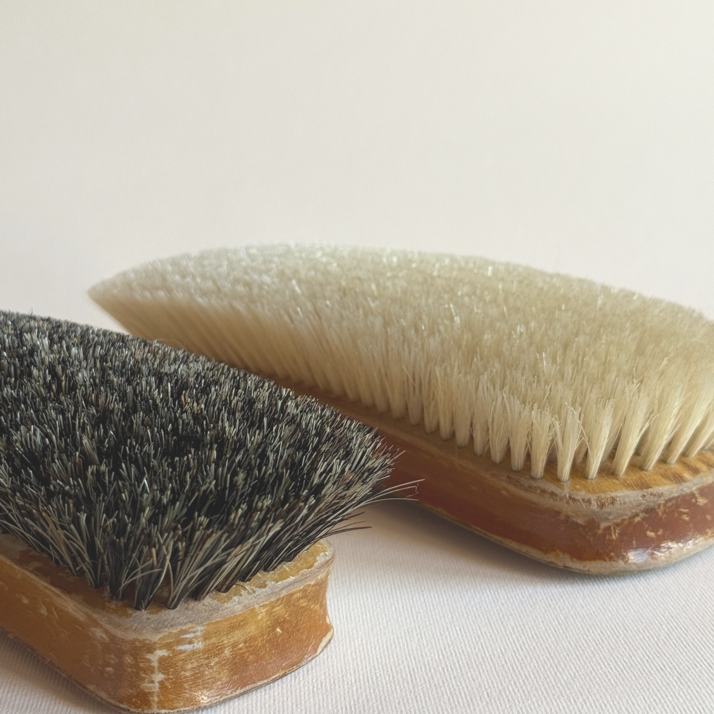 Ergonomic Venus cleaning brushes for shoes, carpet, sofa, and clothing