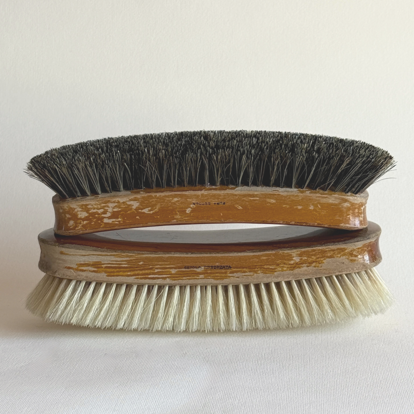 Ergonomic Venus cleaning brushes for shoes, carpet, sofa, and clothing