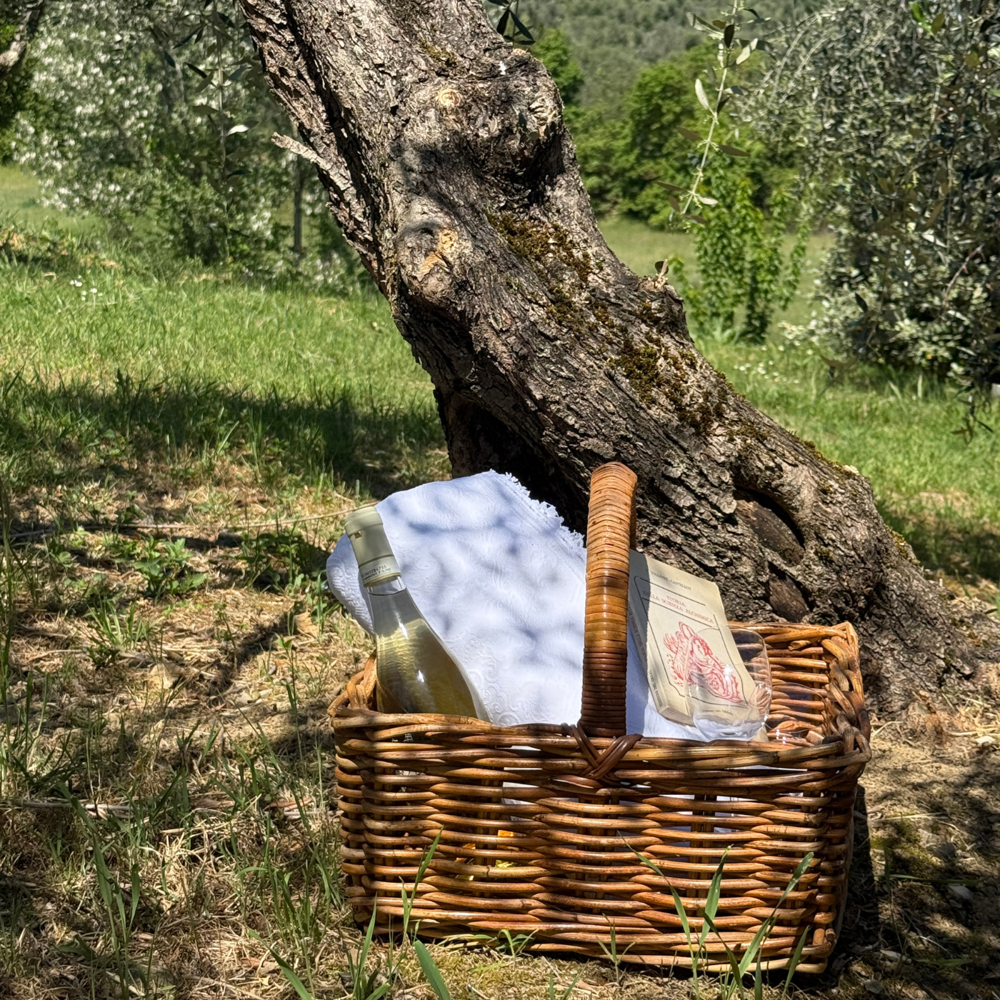 Tuscan Rectangular Rattan Basket