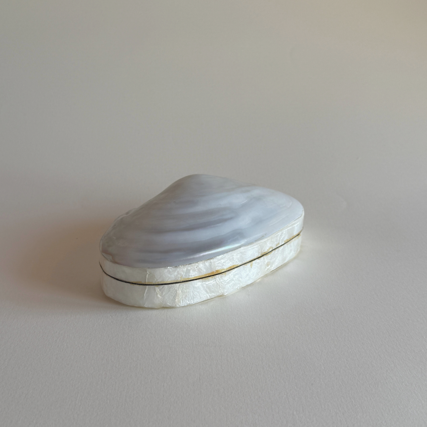 Abalone Shell Jewellery Box | Mother of Pearl · 1980s — White Mother of Pearl, China