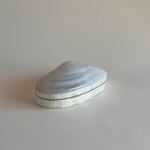 Abalone Shell Jewellery Box | Mother of Pearl · 1980s — White Mother of Pearl, China