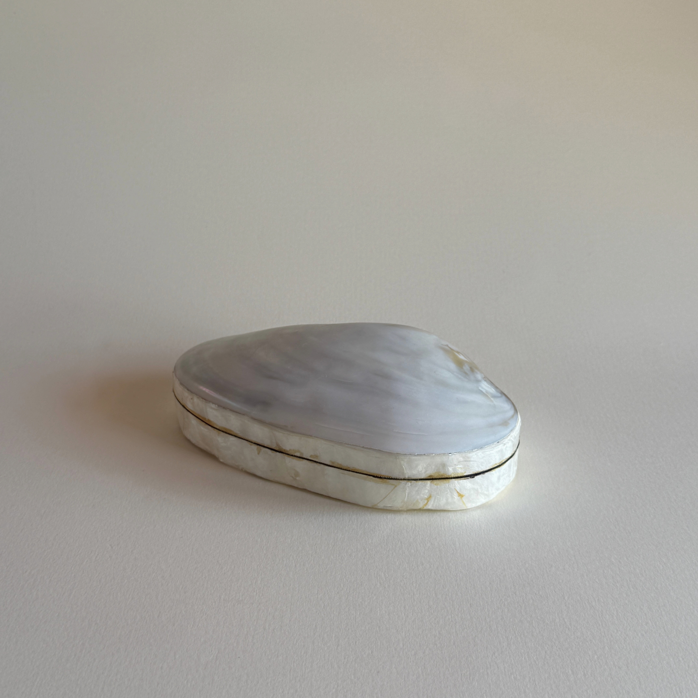 Abalone Shell Jewellery Box | Mother of Pearl · 1980s — White Mother of Pearl, China