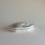 Abalone Shell Jewellery Box | Mother of Pearl · 1980s — White Mother of Pearl, China