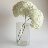 IKEA Chilifrukt | Vase ·  Watering Can