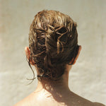 Image de diapositive