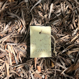 ROWSE Oliveta Botanical Soap I Rosemary & Lemon